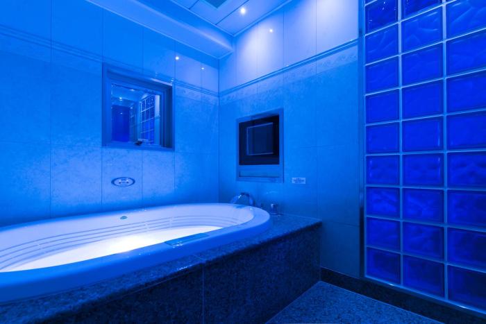 hotel d wave shinjuku adults only