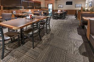 Super 8 By Wyndham Edmonton/West,Edmonton>>Alberta,2 star