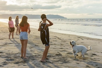 ohope beach top 10 holiday park