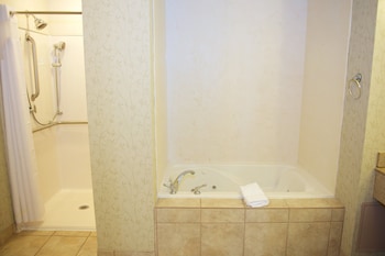 Holiday Inn Effingham By Ihg,Effingham County>>Effingham,4 star