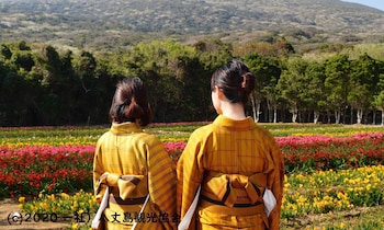 hachijo