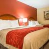 Comfort Inn & Suites,Panama City>>Bay County,3 star