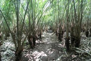 reddoorz near museum gunung merapi