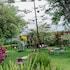 isange paradise resort