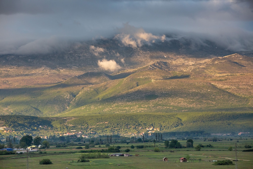 sinj