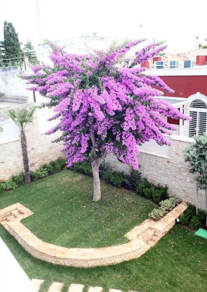 villa pina