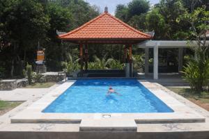 castaway island hostel