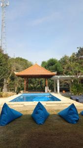 castaway island hostel