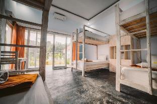 castaway island hostel