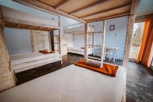 castaway island hostel