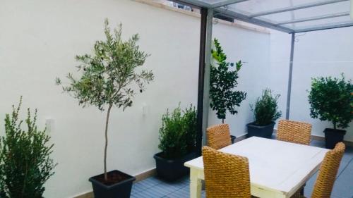 imbriani guest house and suites