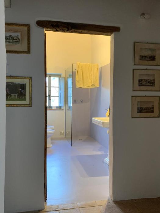 rapolano terme