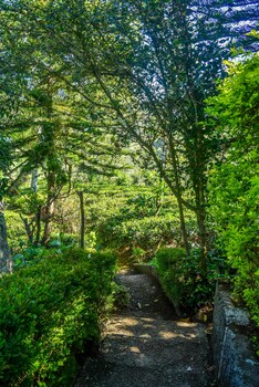 mf estate holiday bungalow