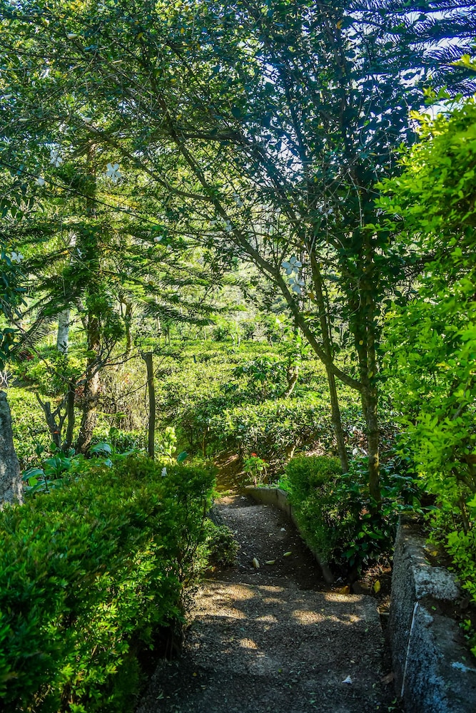 mf estate holiday bungalow