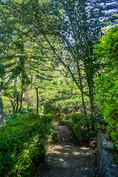 mf estate holiday bungalow