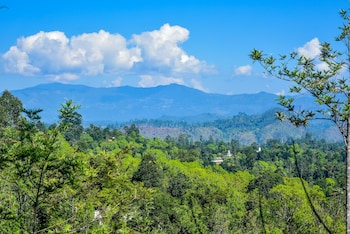 mf estate holiday bungalow