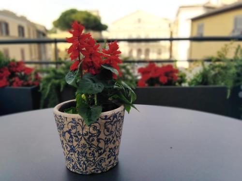 compasso suites