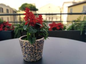 compasso suites