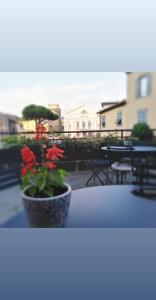 compasso suites