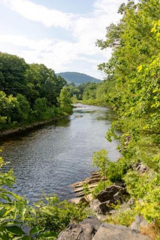 newfane