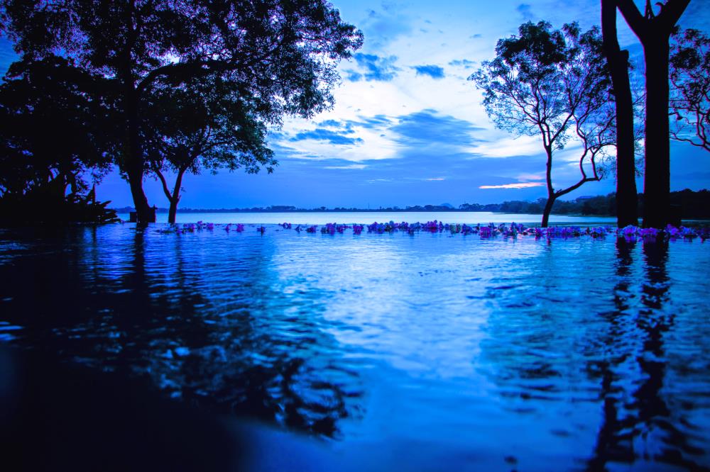 the lake forest hotel