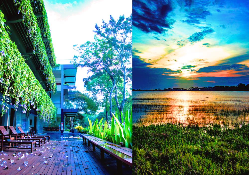 the lake forest hotel