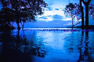 the lake forest hotel