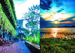 the lake forest hotel