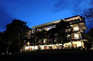 the lake forest hotel