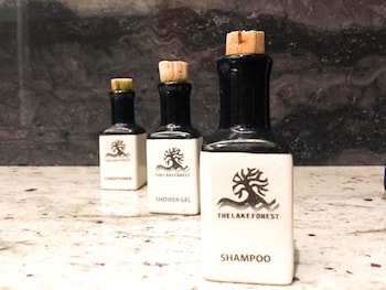 the lake forest hotel