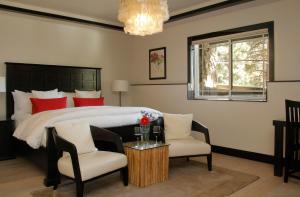 the grand idyllwild lodge