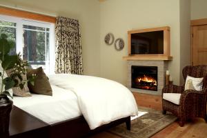 the grand idyllwild lodge