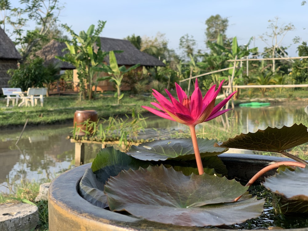 mekong daniel bungalow