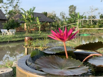 mekong daniel bungalow