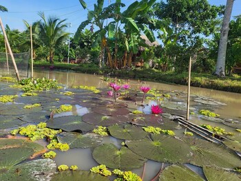 mekong daniel bungalow