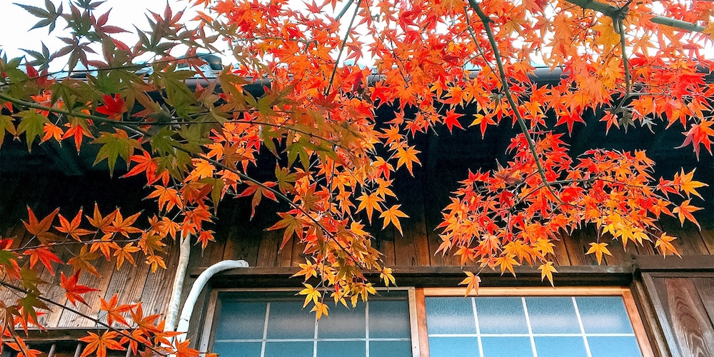 kyoto
