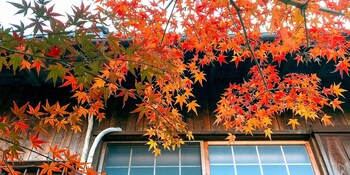kyoto