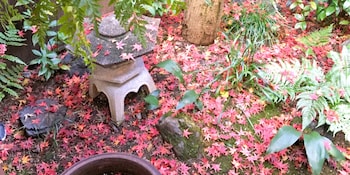 kyoto