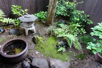 kyoto