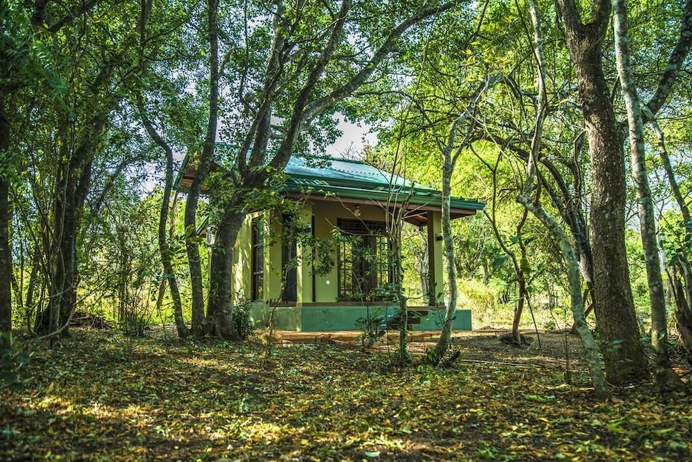 wadula safari yala