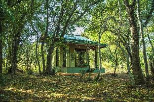wadula safari yala