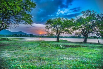 wadula safari yala