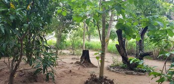 Border,In Palugaswewa,2.5 star