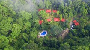 esquinas rainforest lodge