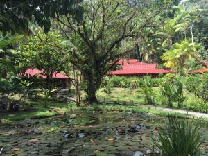 esquinas rainforest lodge