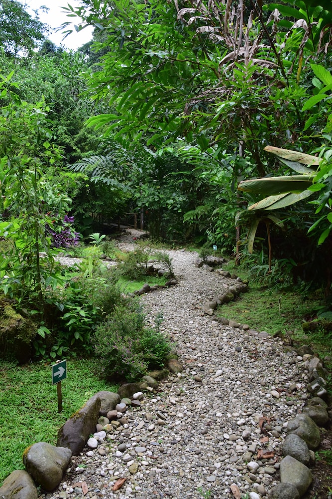 esquinas rainforest lodge