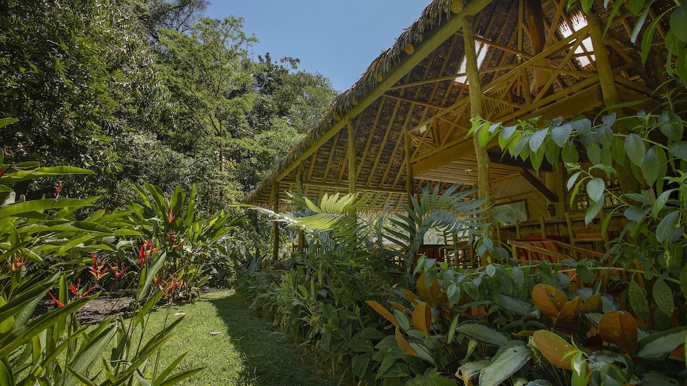 esquinas rainforest lodge