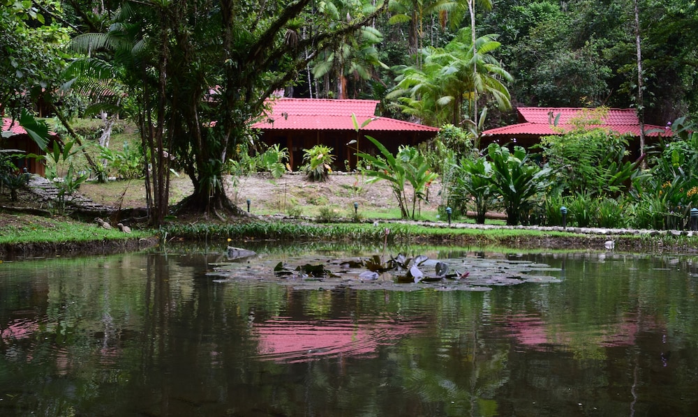 esquinas rainforest lodge