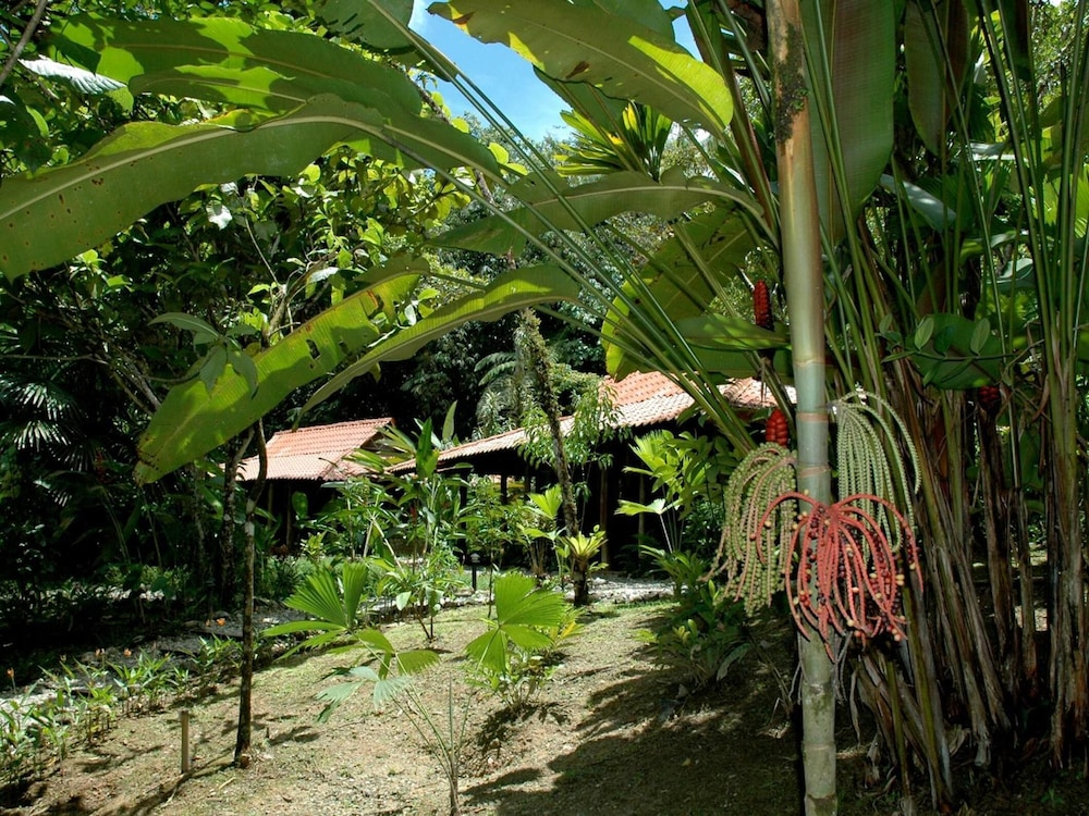 esquinas rainforest lodge