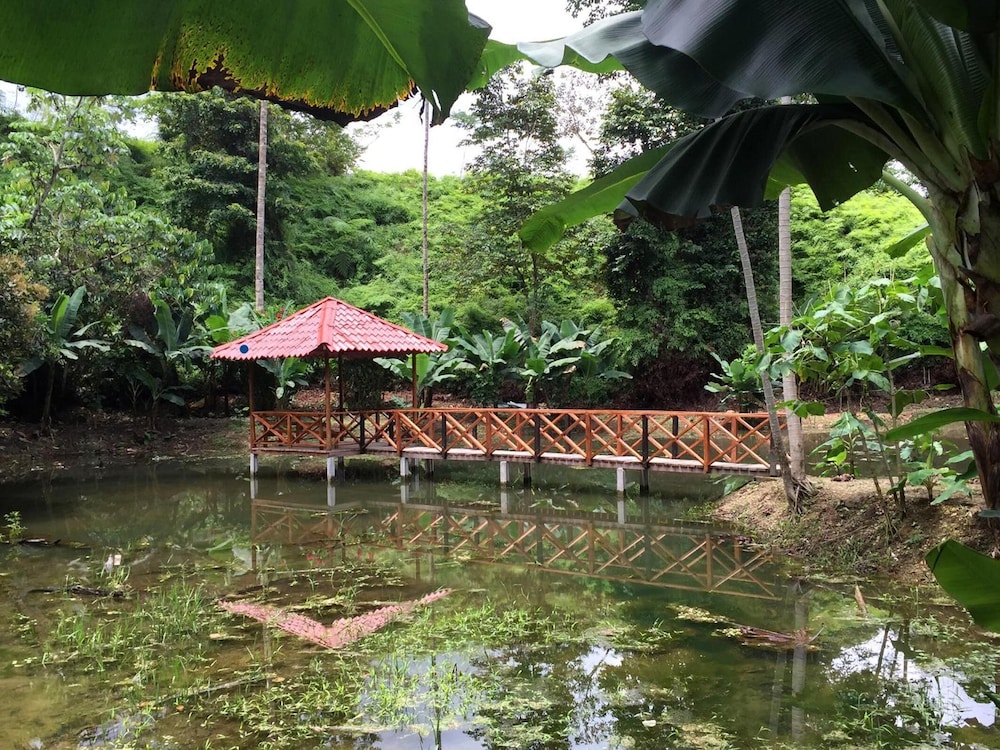 esquinas rainforest lodge